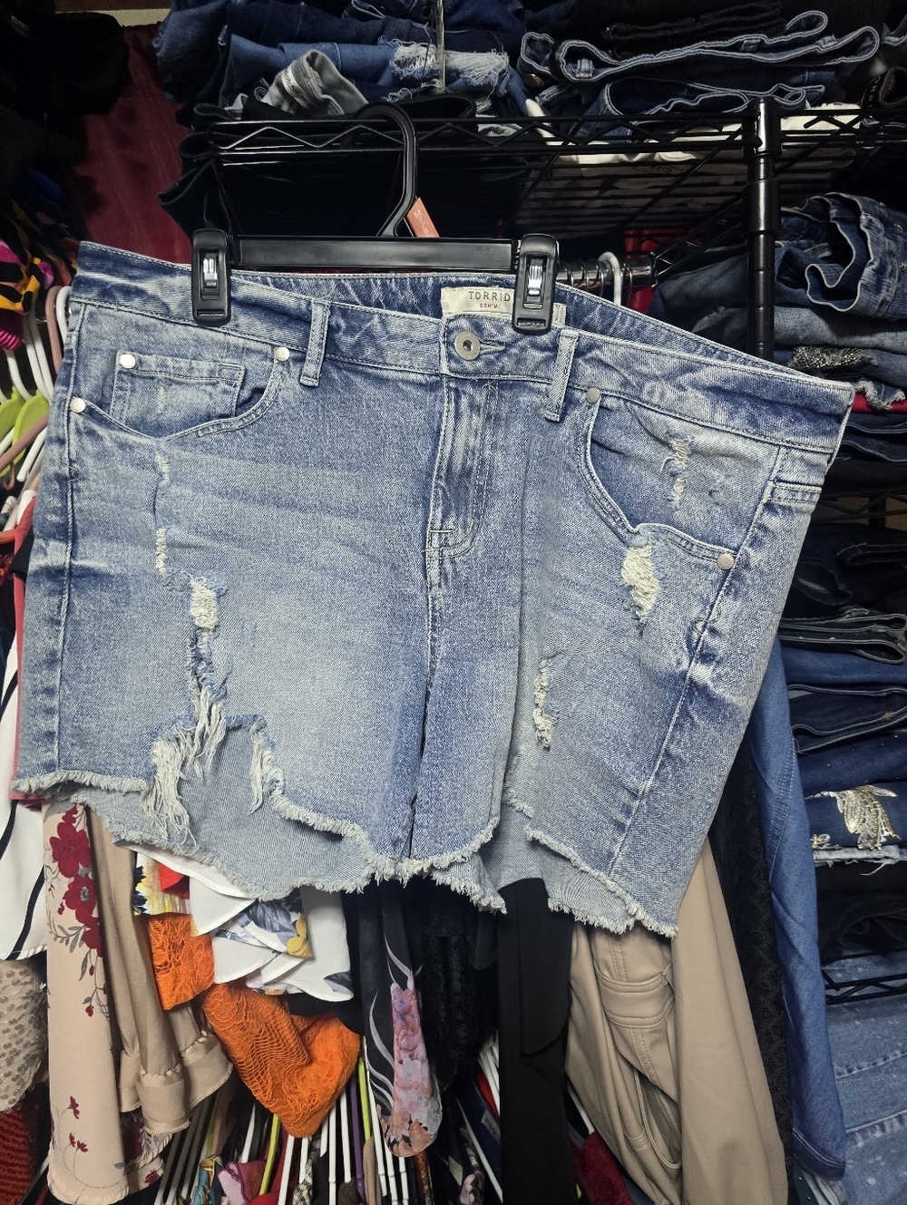 NWOT TORRID 16 Distressed Jean Shorts